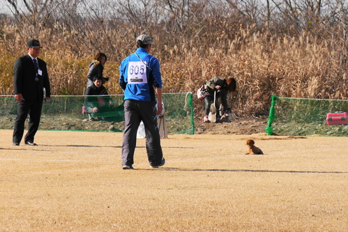 a0246179_90574.jpg