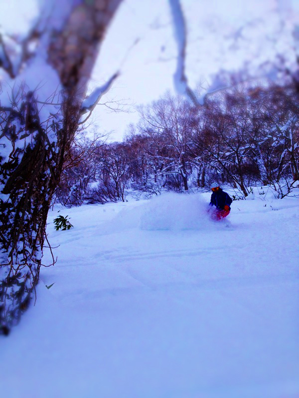 2012/12/11-13 NIseko Powder Trip_b0220886_10452387.jpg