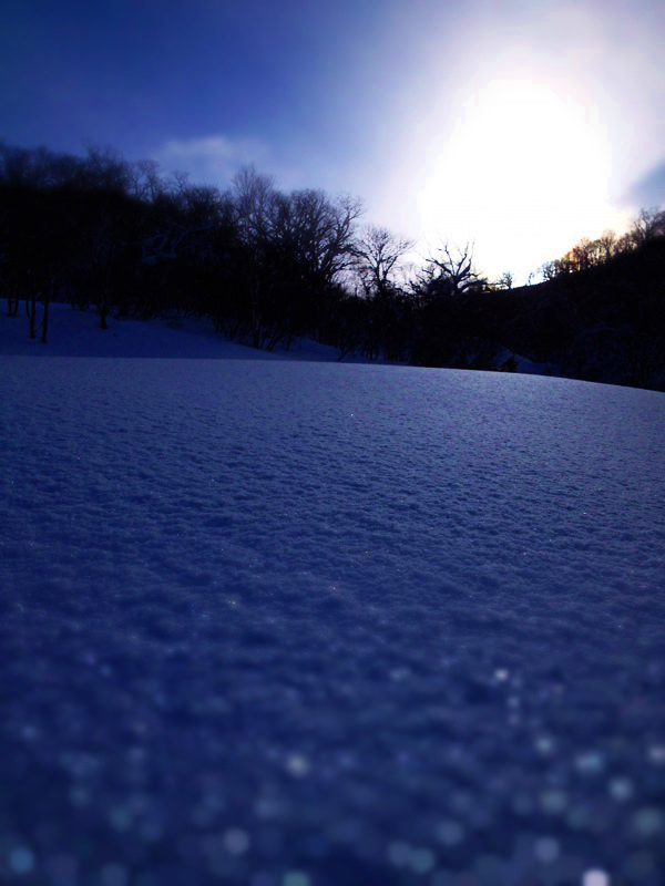 2012/12/11-13 NIseko Powder Trip_b0220886_10455493.jpg