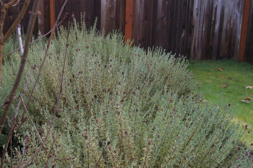b0283192_14405280.jpg