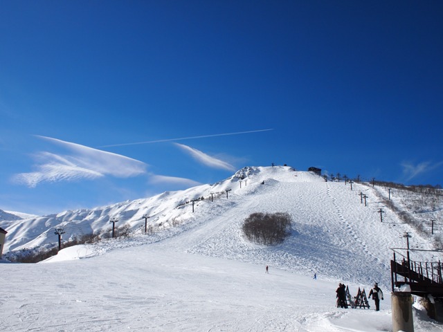 e0265000_205119100.jpg