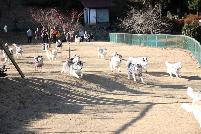 トロトロ集会に行ってきたヨ! -3_b0207615_22384384.jpg