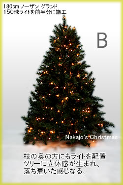 クリスマスツリー_e0149215_79256.jpg