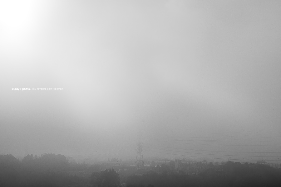 e0117517_032425.jpg