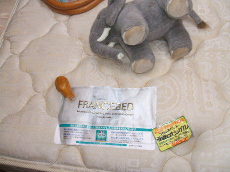 c0239618_1639342.jpg