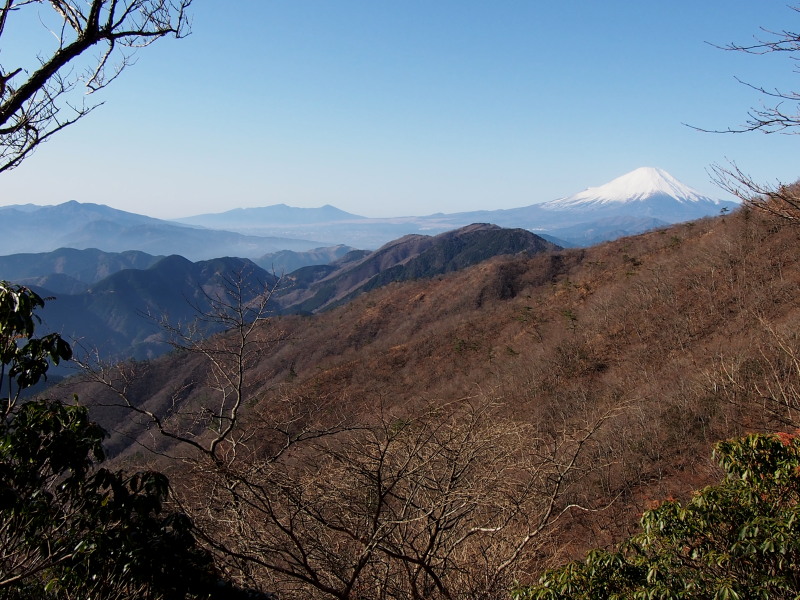 c0085622_20415642.jpg