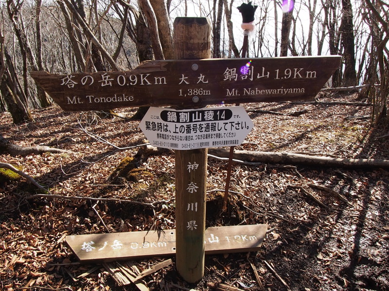c0085622_20423072.jpg