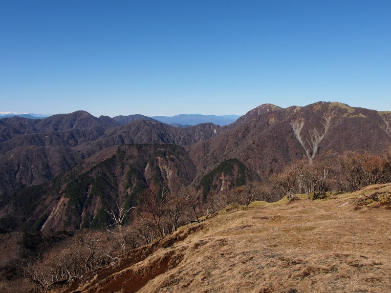 c0085622_20431648.jpg