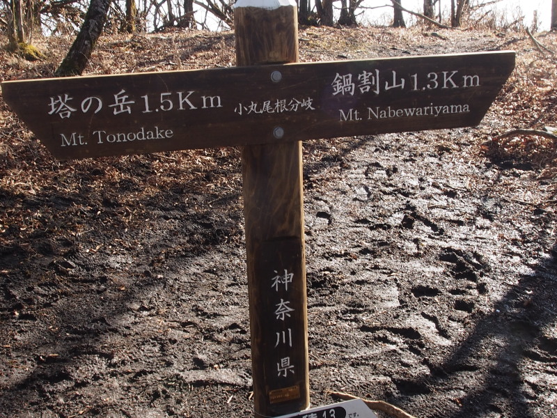 c0085622_20432466.jpg