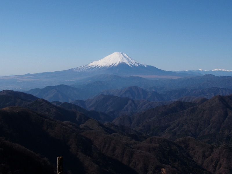 c0085622_2043493.jpg