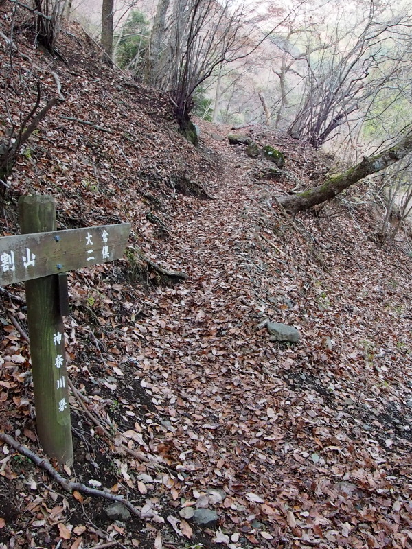 c0085622_20445168.jpg