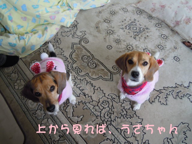 c0166622_9162612.jpg