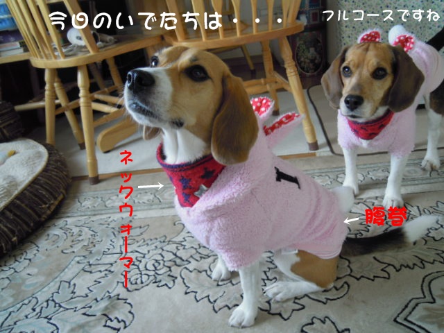 c0166622_9164082.jpg