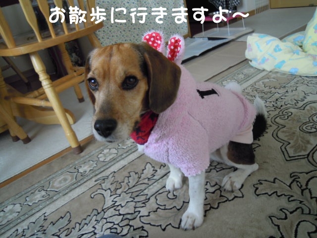 c0166622_916857.jpg