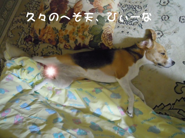 c0166622_9253841.jpg