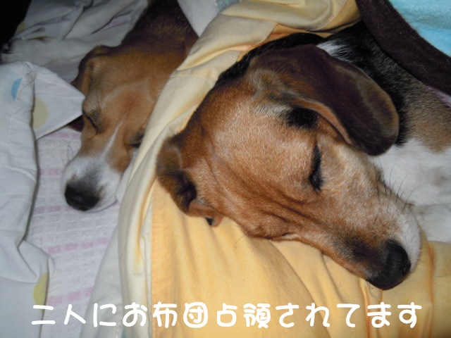 c0166622_9293499.jpg