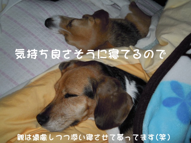c0166622_9294131.jpg