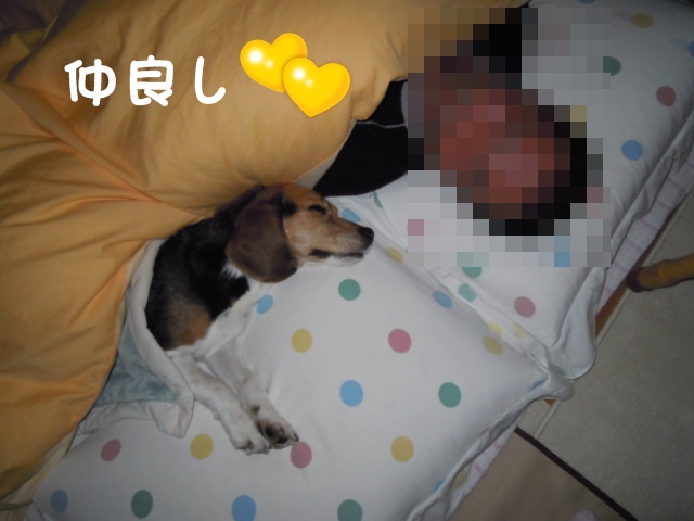 c0166622_9301624.jpg