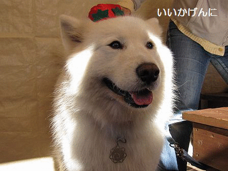 f0213924_2257748.gif