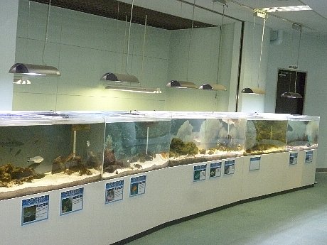 e0198329_11511022.jpg