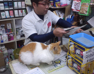 猫が店主かも？_e0041337_9545666.jpg