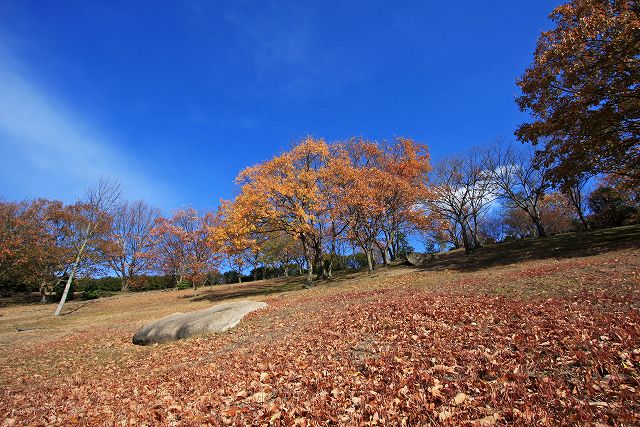 a0242438_21263769.jpg