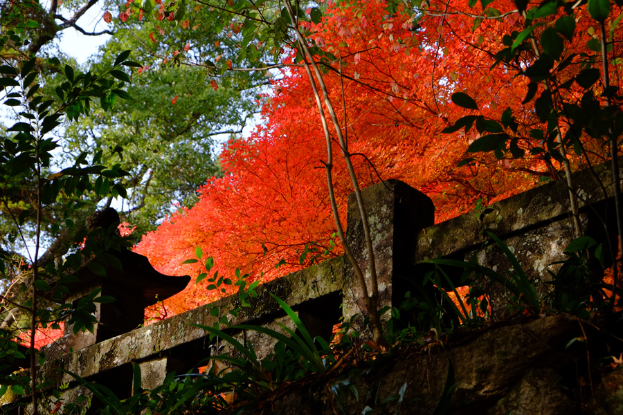 仁比山神社ミニオフ会(最終回）_c0014538_132648.jpg