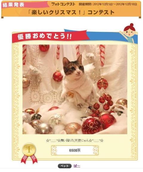 Yahoo!ペット「楽しいクリスマス!」コンテスト優勝第1位第2位猫 空ぽーしぇるのぇる編。_a0143140_2257051.jpg