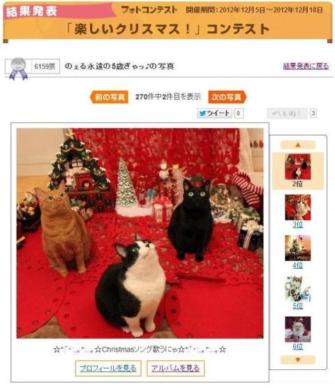 Yahoo!ペット「楽しいクリスマス!」コンテスト優勝第1位第2位猫 空ぽーしぇるのぇる編。_a0143140_22583875.jpg