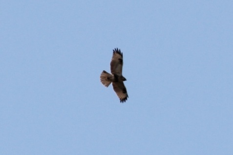 c0269342_17454670.jpg