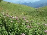 d0288144_1015351.jpg