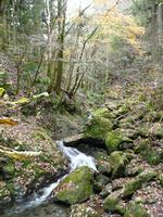 d0288144_14161542.jpg