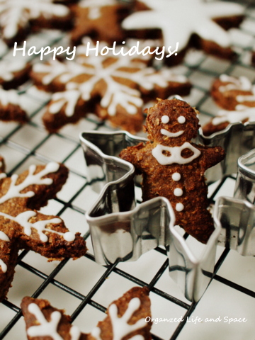 Molasess Gingerbread Cookies_d0256347_55371.jpg