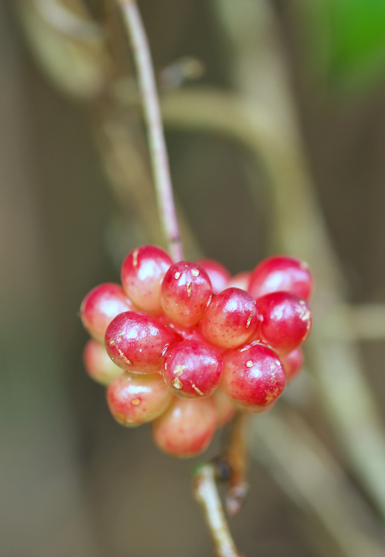 b0147449_18502015.jpg