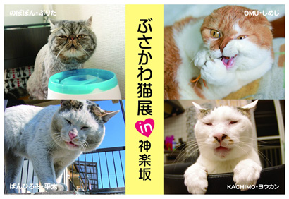ぶさかわ猫展in神楽坂_a0028451_12555140.jpg