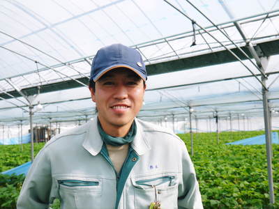 紅ほっぺ 安心・安全なイチゴへのこだわり_a0254656_18482554.jpg