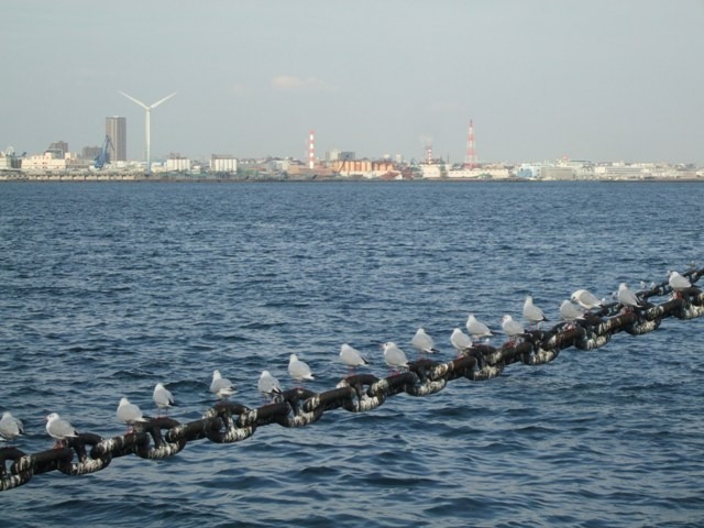c0111557_10532238.jpg