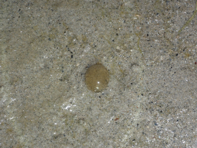 c0180460_13114579.jpg