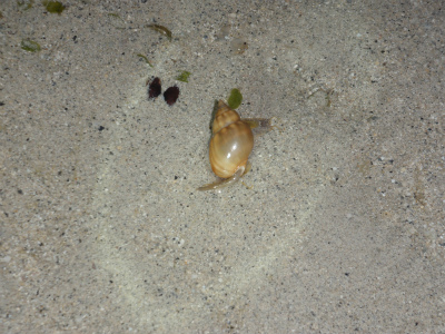 c0180460_1311758.jpg