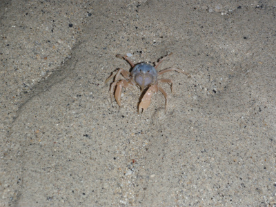 c0180460_13125045.jpg