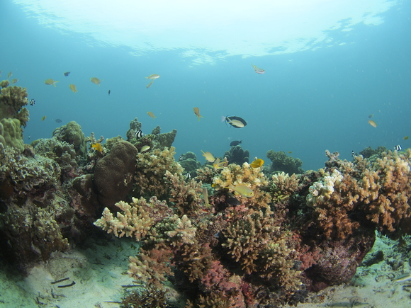 b0138768_022163.jpg