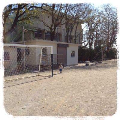 落ち葉とお友達。_e0258469_8545267.jpg