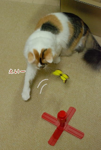a0266372_20232341.jpg