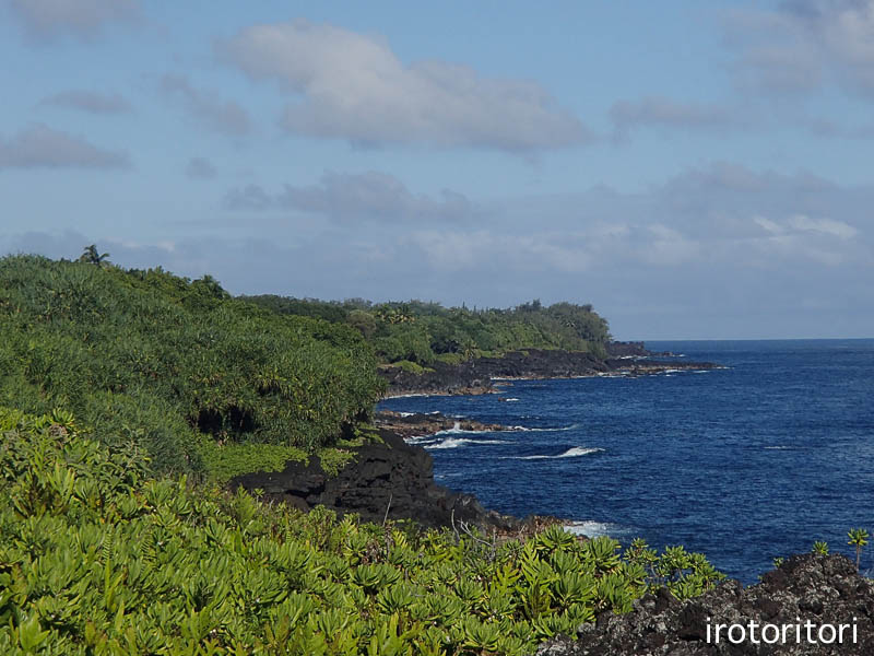 ハワイ島　5日目　その2　　2012/12/15_d0146592_2134136.jpg