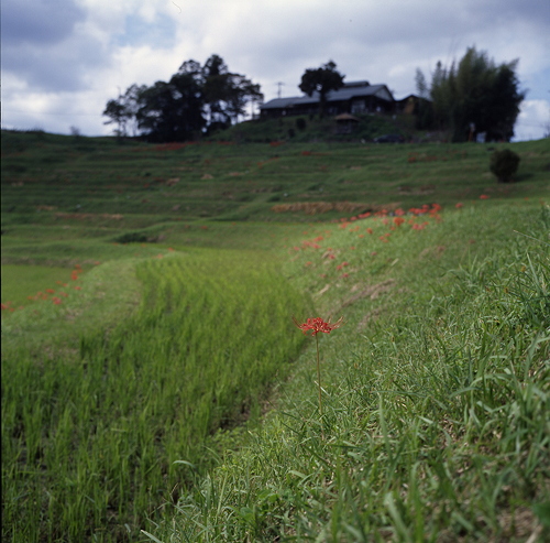 c0214494_21221141.jpg