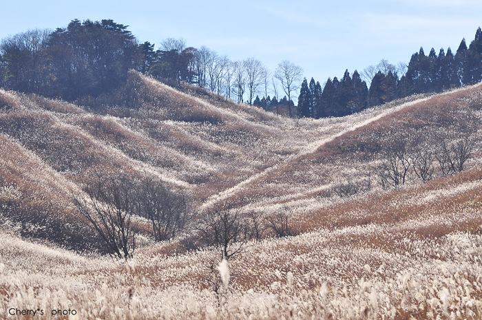 砥峰高原にて・・・  _a0146195_11194036.jpg