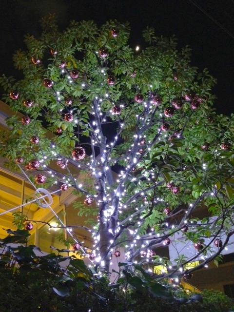 f0056516_2226360.jpg