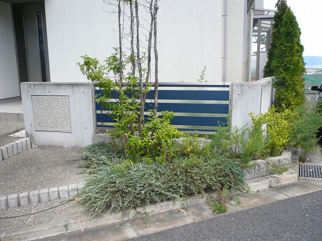 d0077627_9324138.jpg