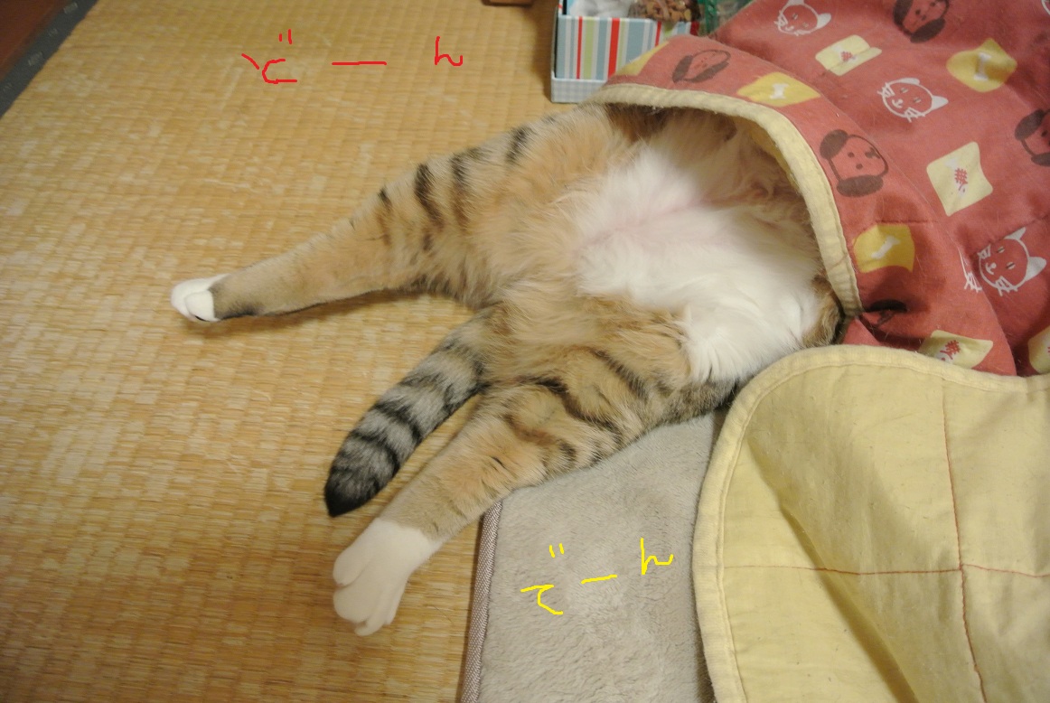 a0099131_23375244.jpg