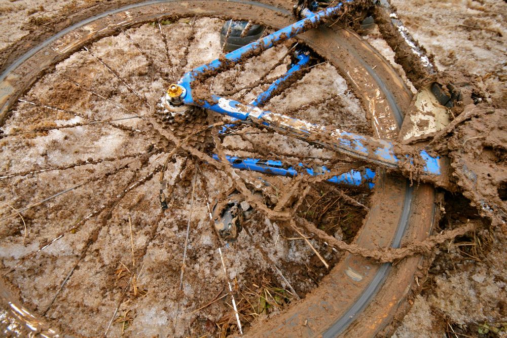 TOHOKU CX Project 2012シーズン 第3戦_b0136231_21352653.jpg